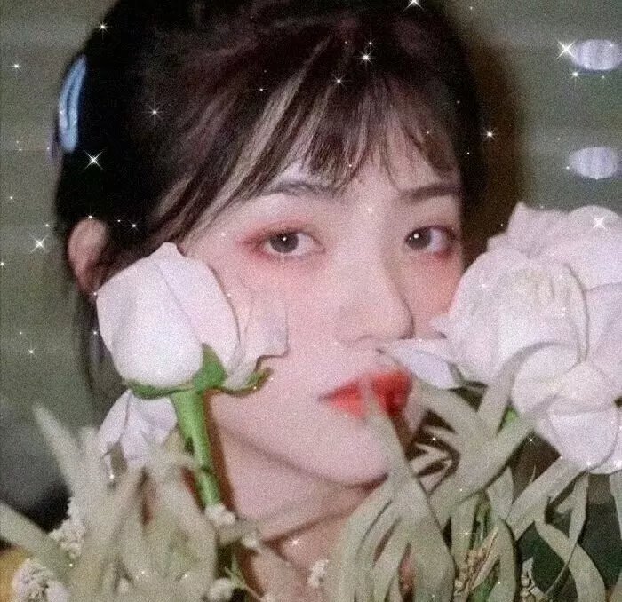 马兰花